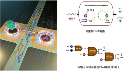 科研动态 北京大学信息科学技术学院